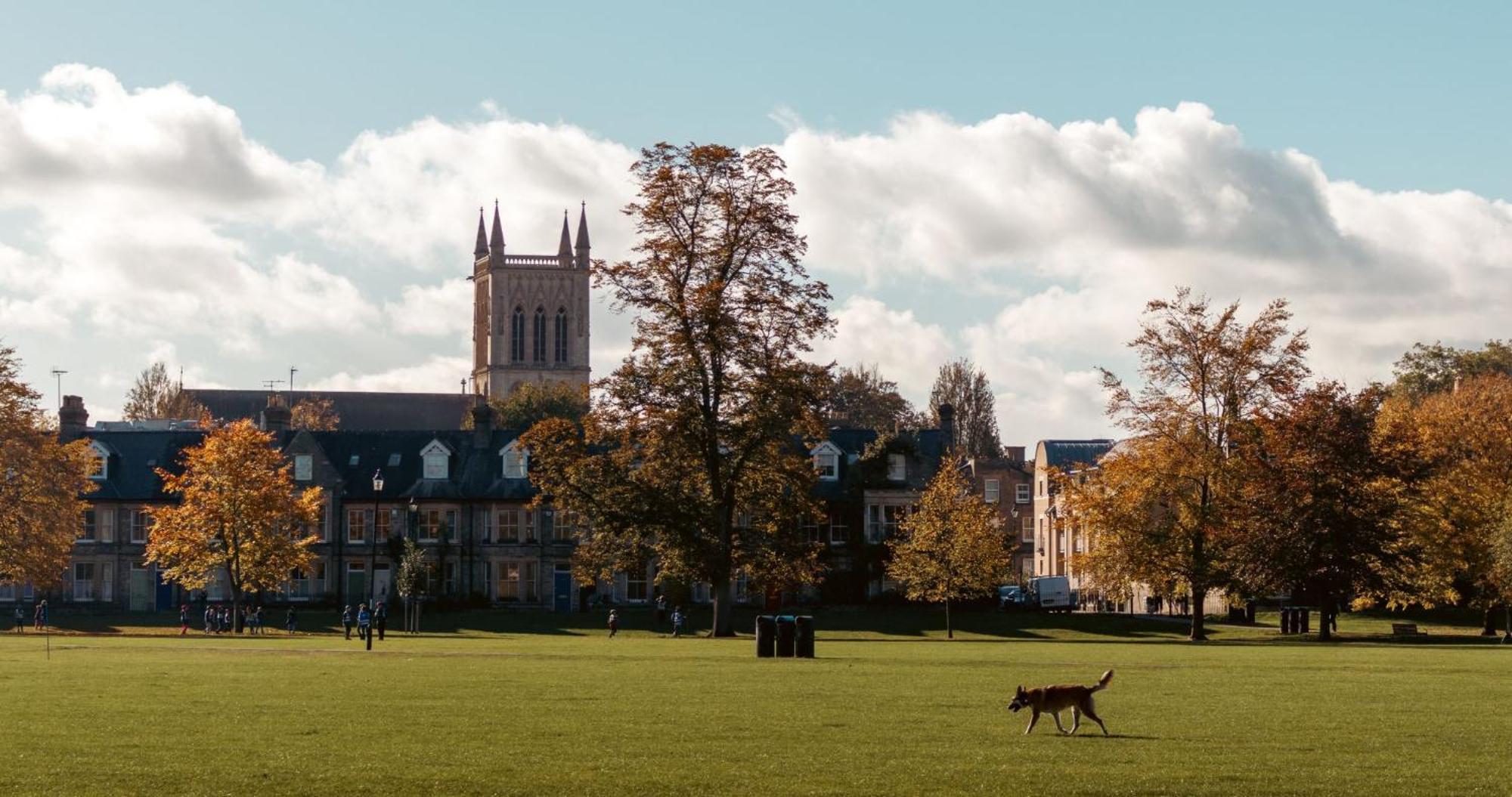Cambridge Stays - Apartment At Addenbrooke Hospital And Bio Campus - Free Private Parking ภายนอก รูปภาพ
